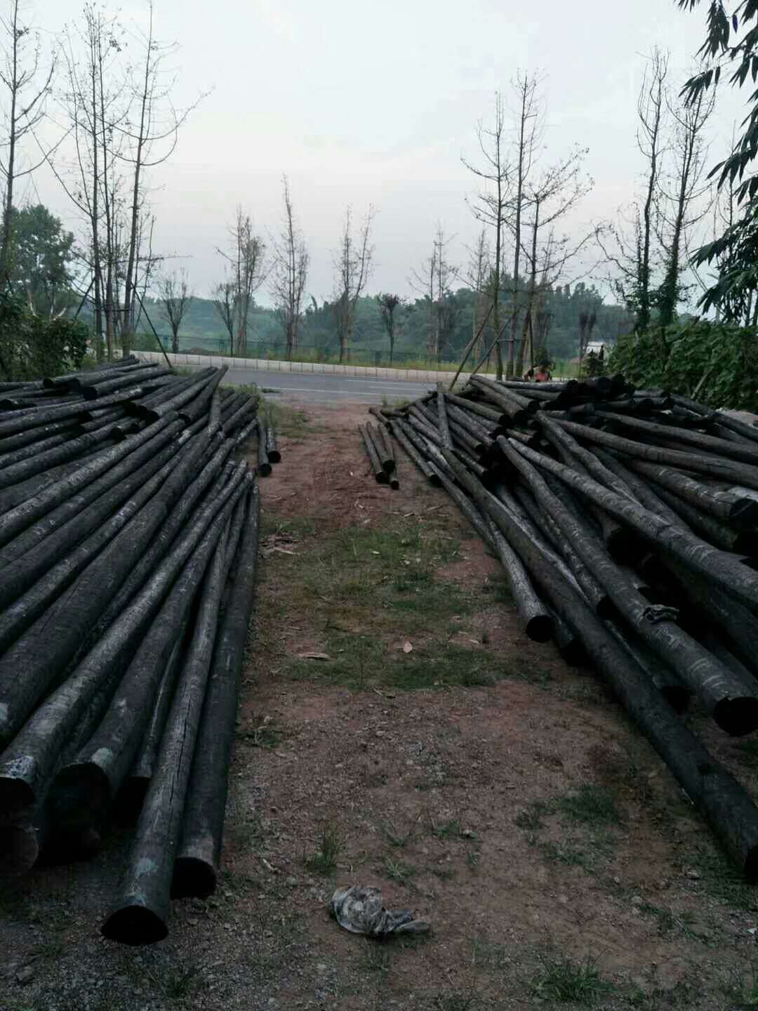 發(fā)往四川自貢富順縣450根7米110型防腐柚木桿訂單圓滿完成